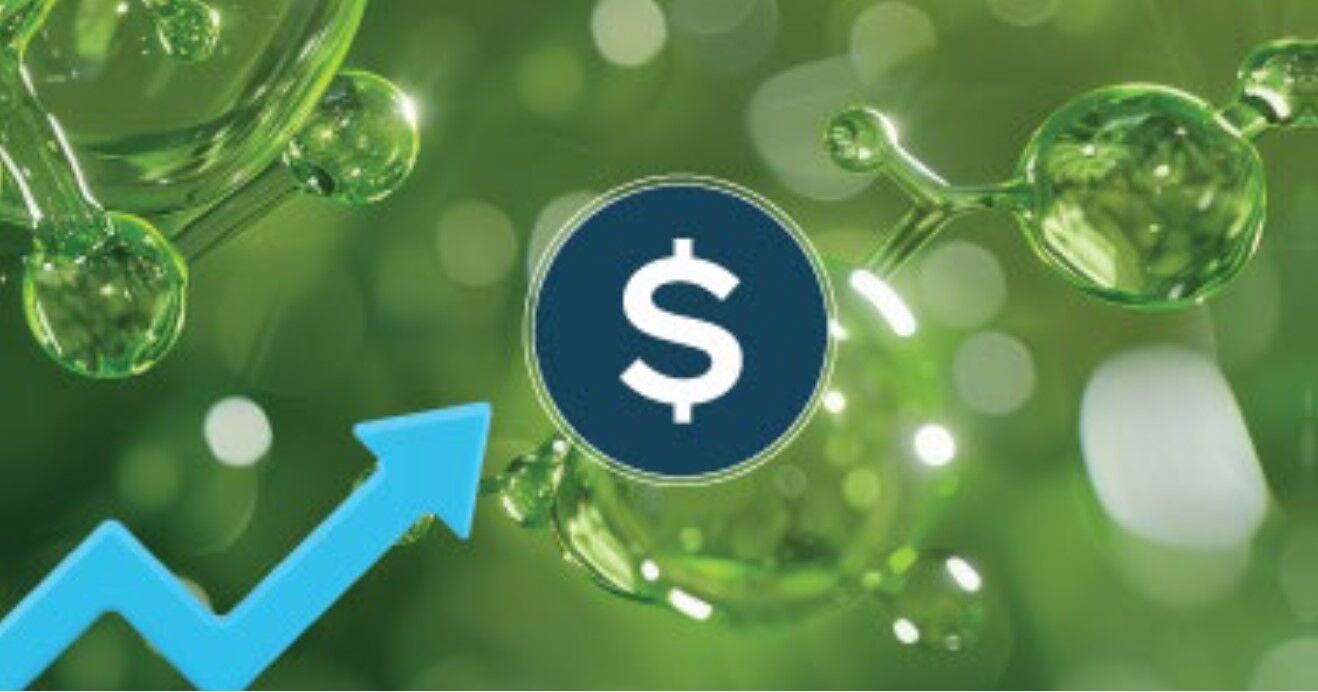 De-risking your green hydrogen project: Why bankability and a strong partner matter